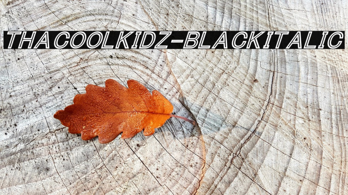 ThaCoolKidz-BlackItalic Font examples