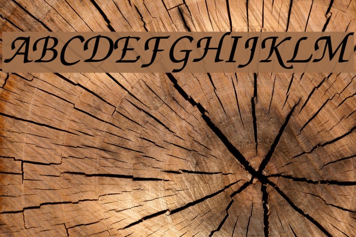 ThaHuong 1.1 Font examples