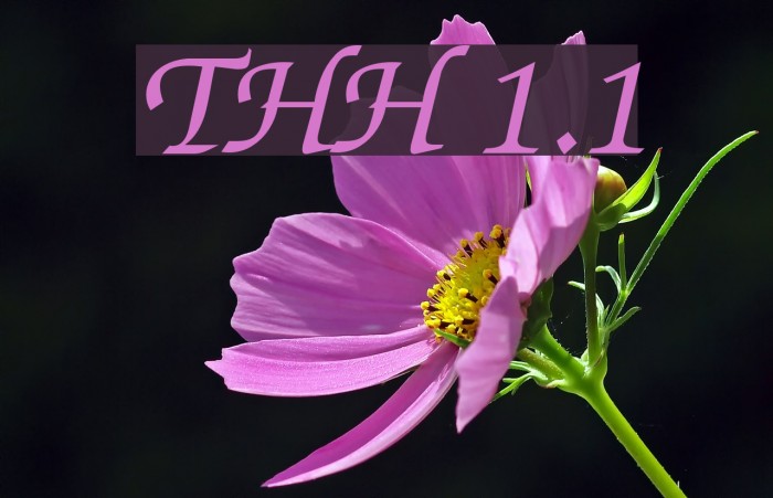 ThaHuongH 1.1 Font examples