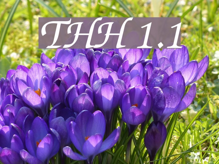 ThaHuongH 1.1 Font examples