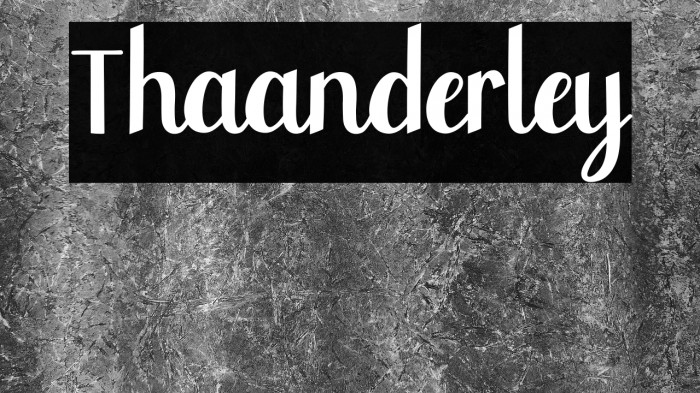 Thaanderley Example 1