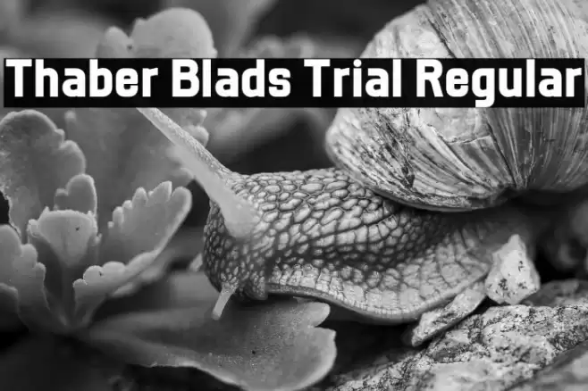 Thaber Blads Trial Regular Font examples