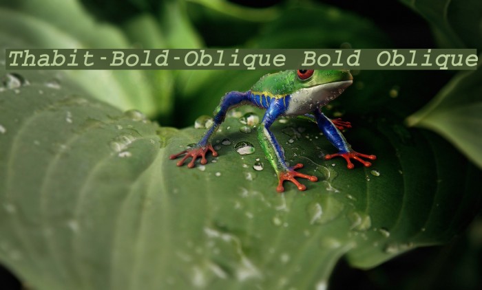 Thabit-Bold-Oblique Bold Oblique Font examples