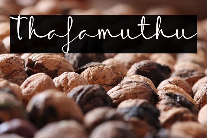 Thafamuthu Example 1