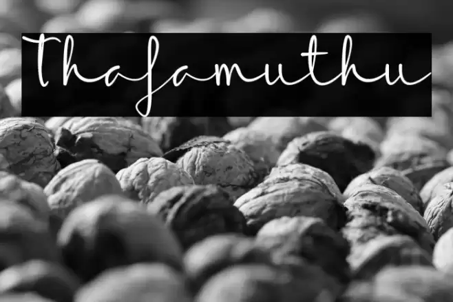 Thafamuthu Font examples