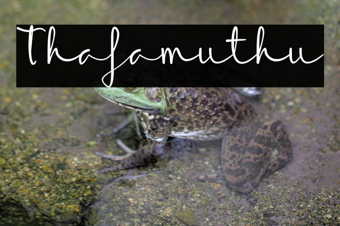 Thafamuthu Example 2