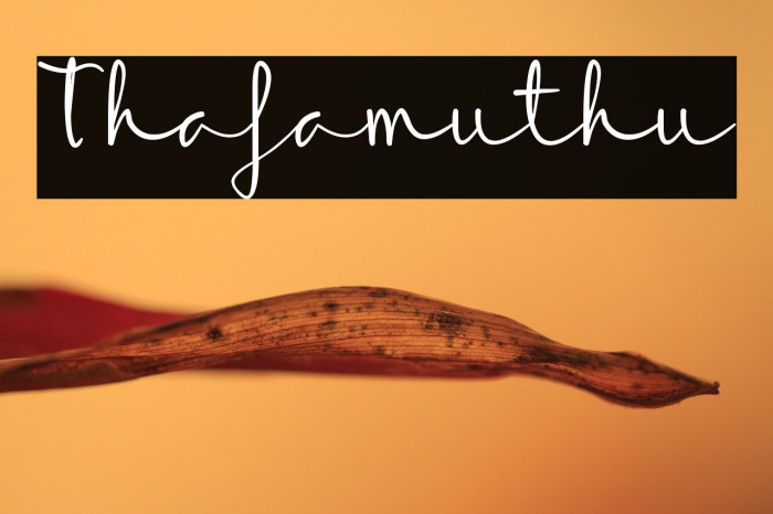 Thafamuthu Example 3