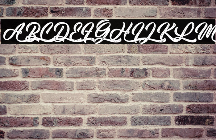 Thai Coala - Personal Use Example 1