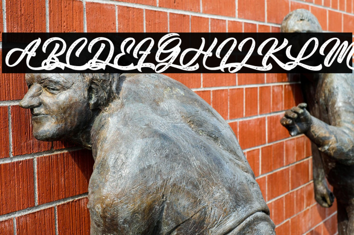 Thai Coala - Personal Use Example 2