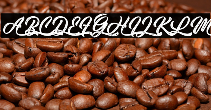 Thai Coala - Personal Use Example 3