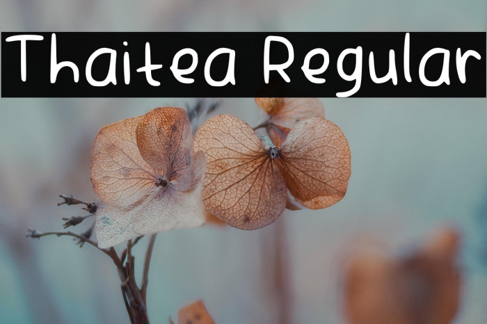 Thaitea Regular Example 1