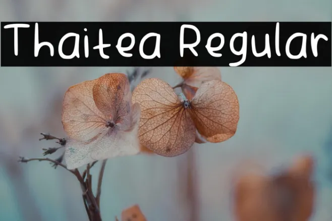 Thaitea Regular Example 1