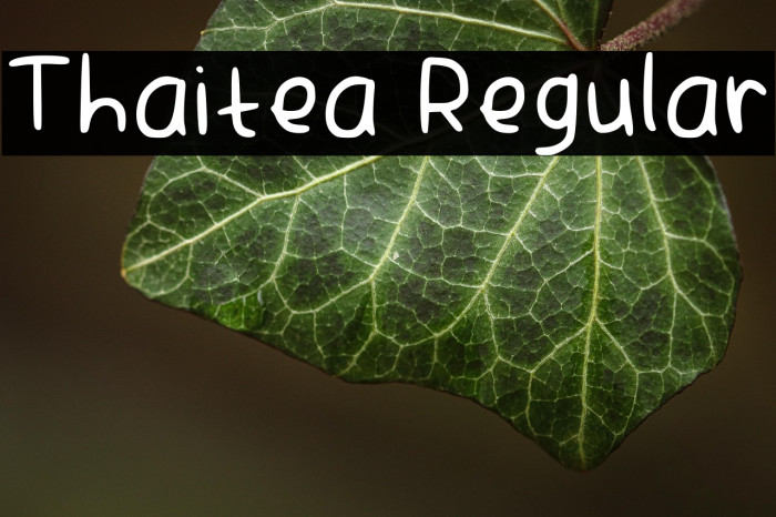 Thaitea Regular Example 2