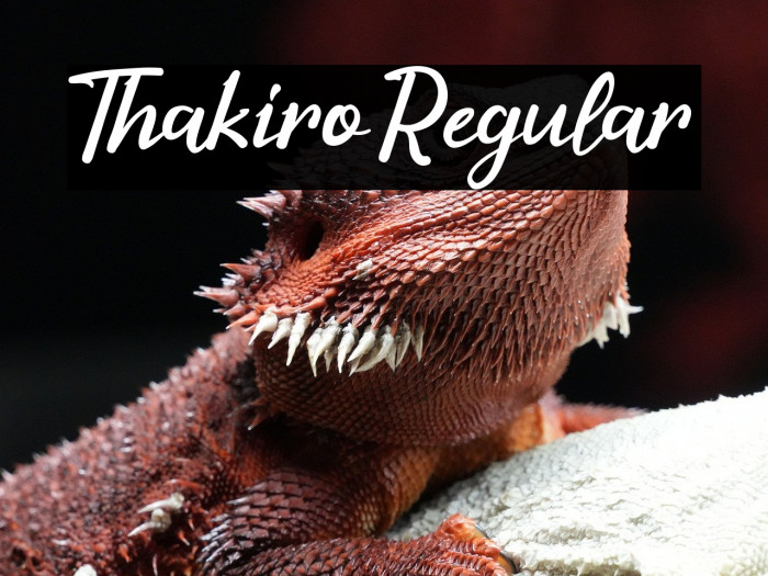 Thakiro Regular Example 2