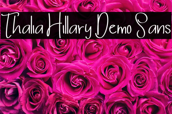 Thalia Hillary Demo Sans Example 1