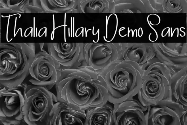 Thalia Hillary Demo Sans Font examples