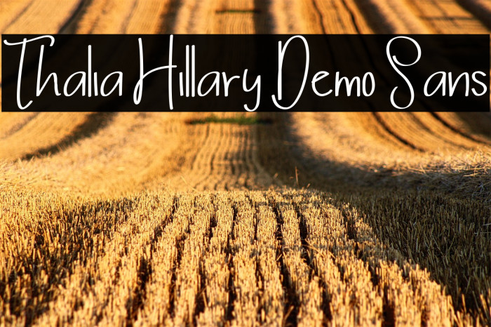 Thalia Hillary Demo Sans Example 2