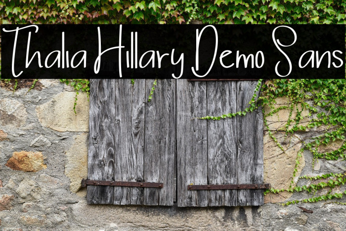Thalia Hillary Demo Sans Example 3
