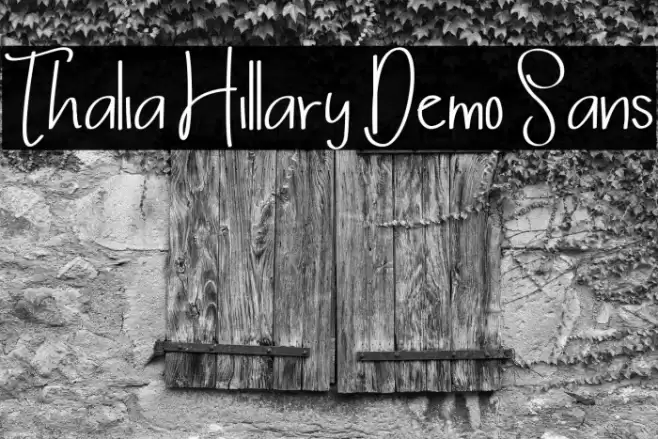 Thalia Hillary Demo Sans Font examples