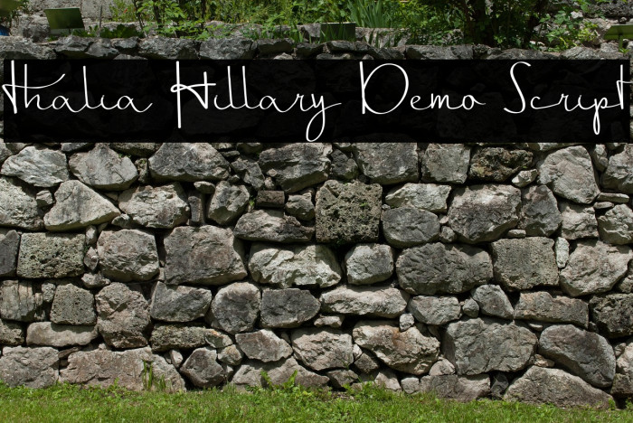 Thalia Hillary Demo Script Example 3