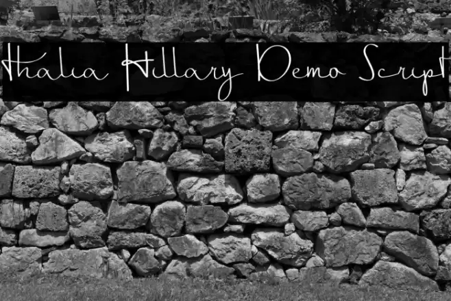 Thalia Hillary Demo Script Font examples