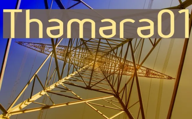 Thamara01 Example 1