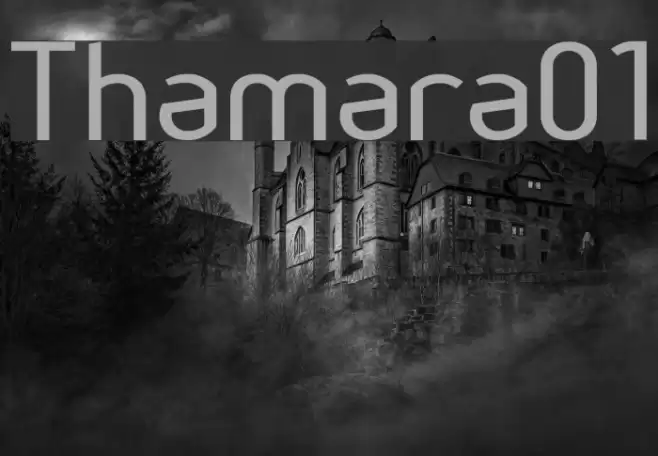 Thamara01 خط examples