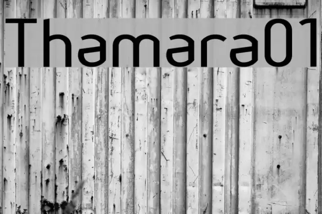Thamara01 خط examples