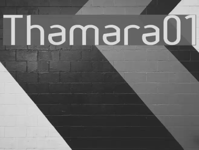 Thamara01 خط examples
