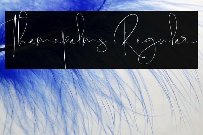 Thamepalms Regular Example 3