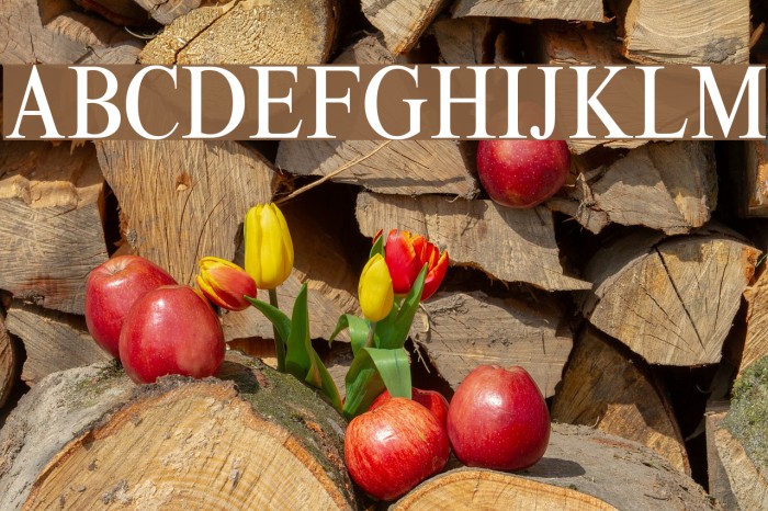 ThamesCondensed Regular Font examples