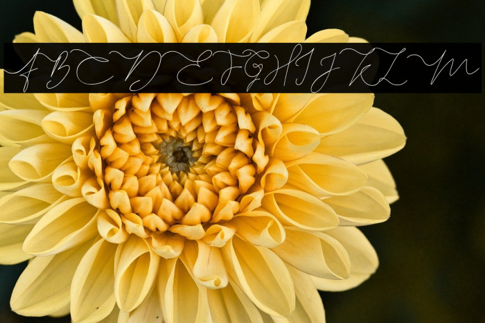 Thampholine Example 1