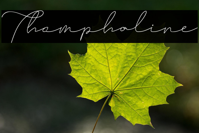 Thampholine Example 1