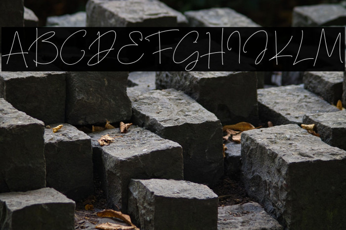 Thanea Alexandrea Regular Example 2