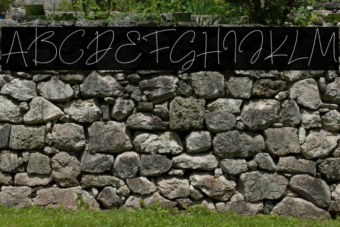 Thanea Alexandrea Regular Example 3