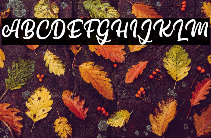 Thank You So Much Example 3