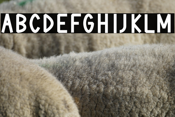 Thankful Hearts Example 2