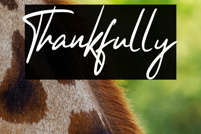 Thankfully Example 1