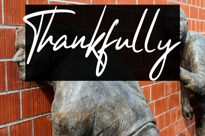 Thankfully Example 2