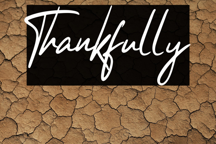 Thankfully Example 3