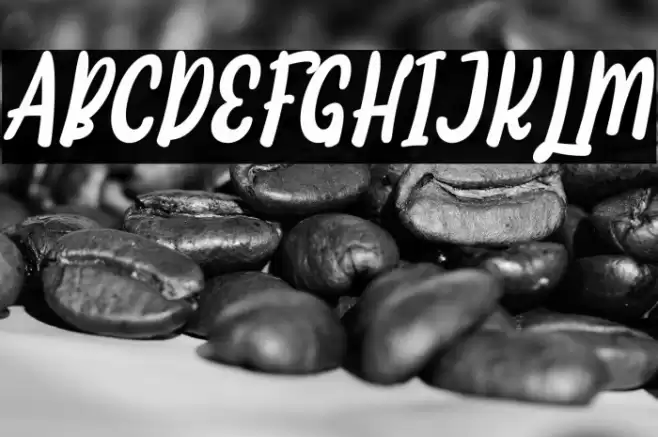 Thankfulness Italic Font examples