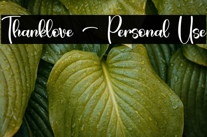 Thanklove - Personal Use Example 1