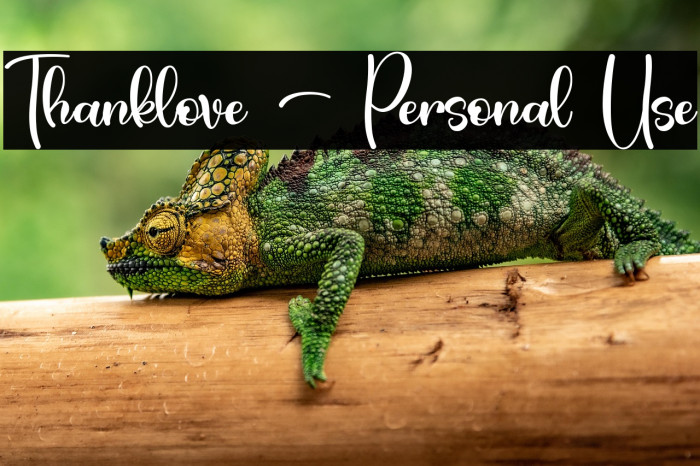 Thanklove - Personal Use Example 2