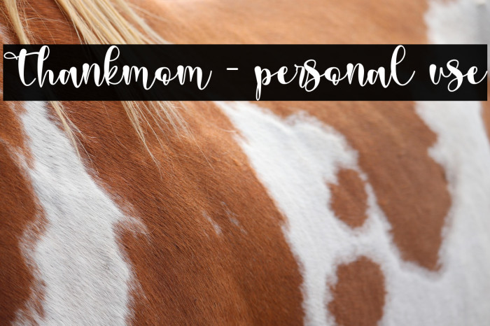 Thankmom - personal use Example 1