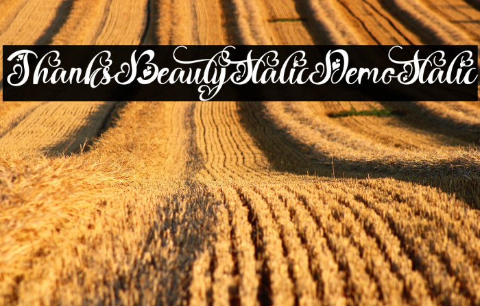 Thanks Beauty Italic Demo Italic Example 1