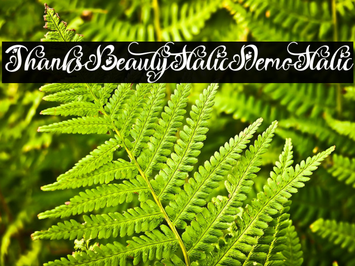 Thanks Beauty Italic Demo Italic Example 3