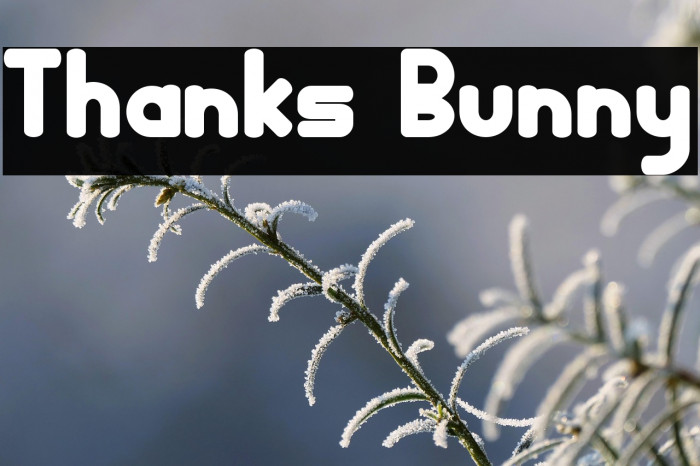 Thanks Bunny Example 2