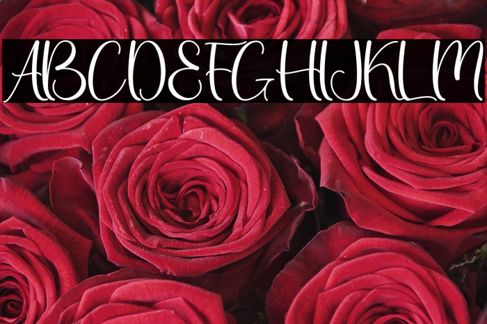 Thanks Christmas - Personal Use Example 1