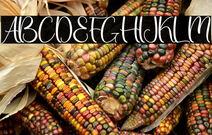 Thanks Christmas - Personal Use Example 2