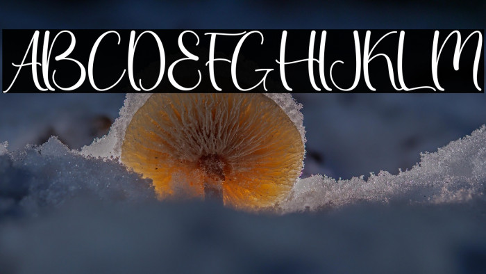 Thanks Christmas - Personal Use Example 3